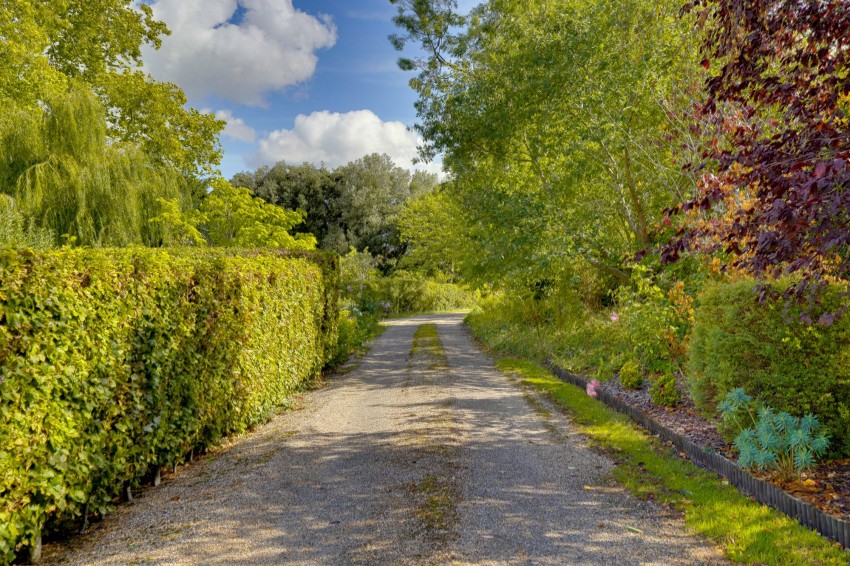 Images for High Street, Stetchworth, CB8 EAID:4037033056 BID:e22d2fe2-cd8a-4ee5-877e-aff44adbf8aa