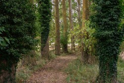 Images for Horsley Hale, Littleport, CB6