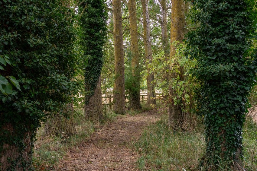 Images for Horsley Hale, Littleport, CB6 EAID:4037033056 BID:d3db0e0c-3850-402c-b88b-52680bec4ac9