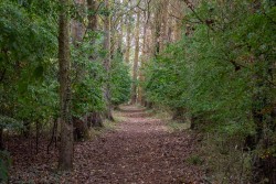 Images for Horsley Hale, Littleport, CB6