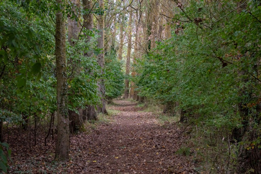 Images for Horsley Hale, Littleport, CB6 EAID:4037033056 BID:d3db0e0c-3850-402c-b88b-52680bec4ac9