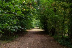 Images for Horsley Hale, Littleport, CB6