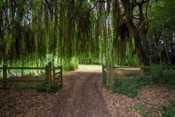 Images for Horsley Hale, Littleport, CB6