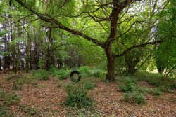 Images for Horsley Hale, Littleport, CB6