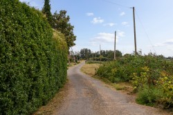 Images for Horsley Hale, Littleport, CB6