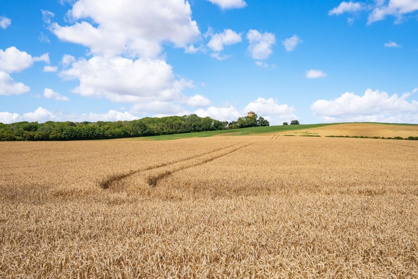 Images for Balsham Road, Linton, CB21 EAID:4037033056 BID:2f5b1148-b901-4d34-9e72-64b6a96df570