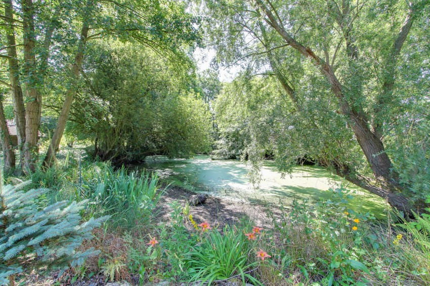 Images for Main Road, West Bilney, PE32 EAID:4037033056 BID:1d497ef6-e698-4427-833a-3b42529ac059