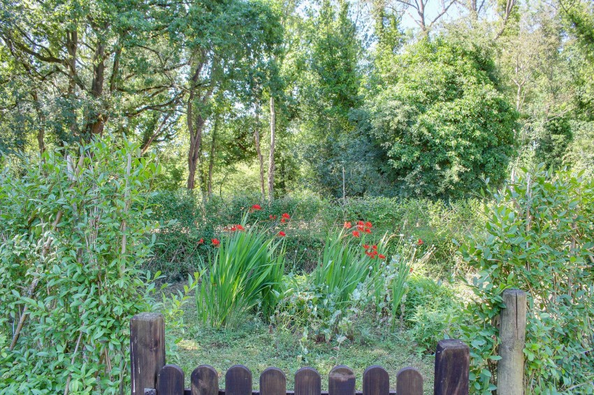 Images for Main Road, West Bilney, PE32 EAID:4037033056 BID:1d497ef6-e698-4427-833a-3b42529ac059
