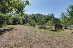 Images for Main Road, West Bilney, PE32