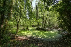Images for Main Road, West Bilney, PE32