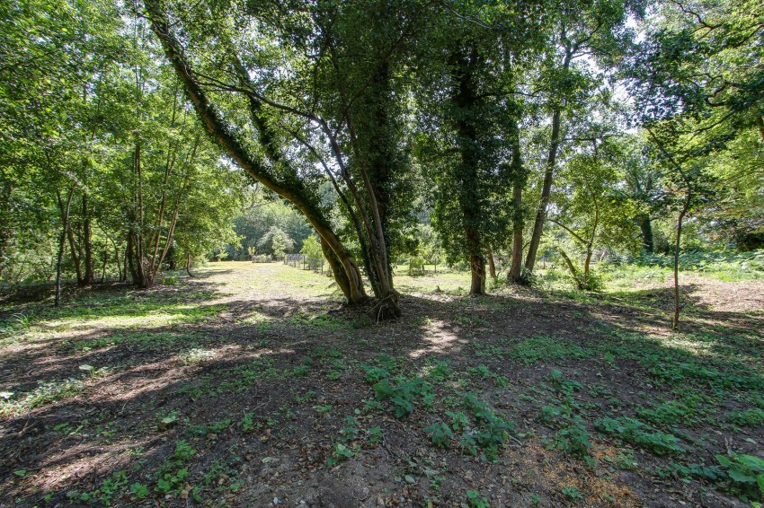 Images for Main Road, West Bilney, PE32 EAID:4037033056 BID:1d497ef6-e698-4427-833a-3b42529ac059