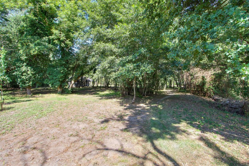 Images for Main Road, West Bilney, PE32 EAID:4037033056 BID:1d497ef6-e698-4427-833a-3b42529ac059