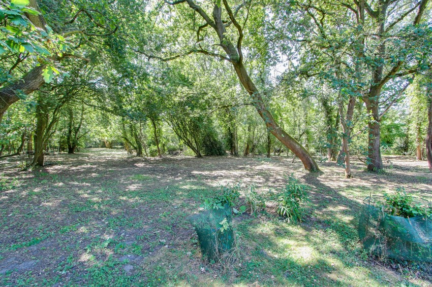 Images for Main Road, West Bilney, PE32 EAID:4037033056 BID:1d497ef6-e698-4427-833a-3b42529ac059