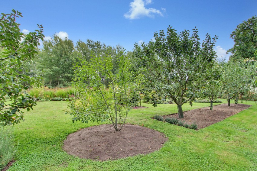 Images for Main Road, West Bilney, PE32 EAID:4037033056 BID:1d497ef6-e698-4427-833a-3b42529ac059