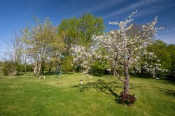 Images for Willingham Road, Over, CB24