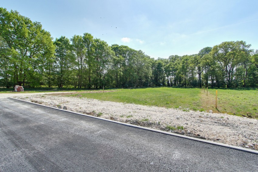 Images for Narford Road, Narborough, PE32 EAID:4037033056 BID:1d497ef6-e698-4427-833a-3b42529ac059