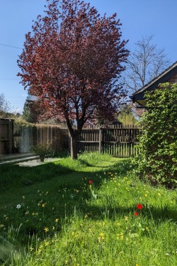 Images for London Road, Harston, CB22