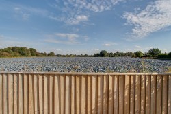 Images for Goodens Lane, Newton-In-The-Isle, PE13