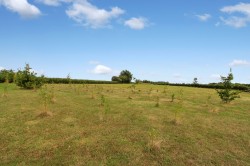 Images for Trinity Road, Walpole Highway, PE14