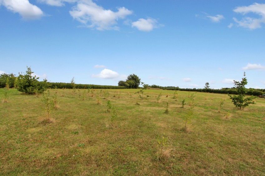 Images for Trinity Road, Walpole Highway, PE14 EAID:4037033056 BID:1d497ef6-e698-4427-833a-3b42529ac059