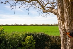 Images for Duxford Road, Whittlesford, CB22