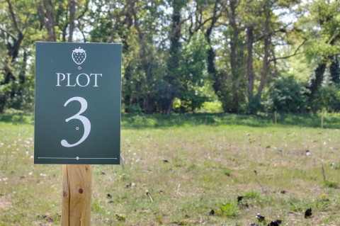 View Full Details for Narford Road, Narborough, PE32 - EAID:4037033056, BID:1d497ef6-e698-4427-833a-3b42529ac059