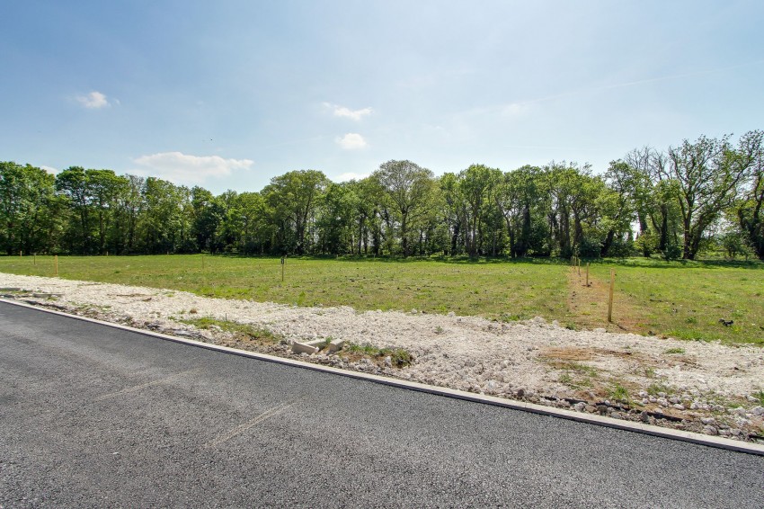 Images for Narford Road, Narborough, PE32 EAID:4037033056 BID:1d497ef6-e698-4427-833a-3b42529ac059