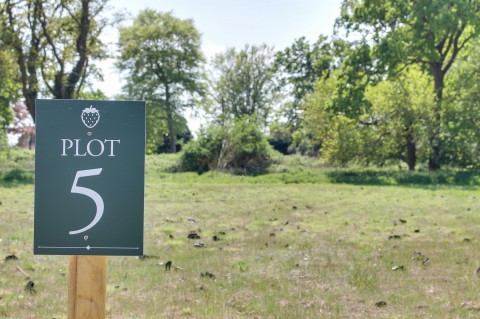 View Full Details for Narford Road, Narborough, PE32 - EAID:4037033056, BID:1d497ef6-e698-4427-833a-3b42529ac059