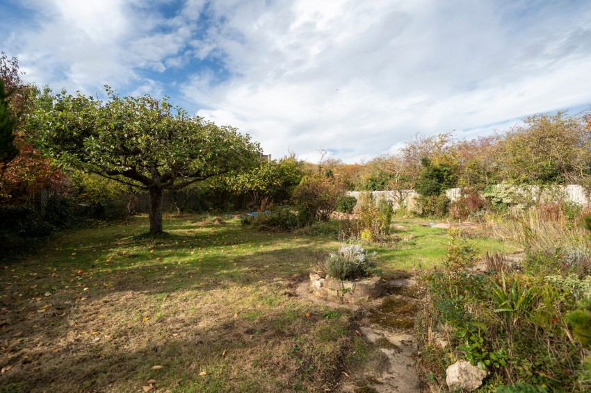 Images for Gough Way, Cambridge, CB3 EAID:4037033056 BID:df7a2b8e-b283-433c-96bc-9990089caf32