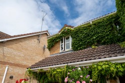 Images for Farriers Gate, Chatteris, PE16