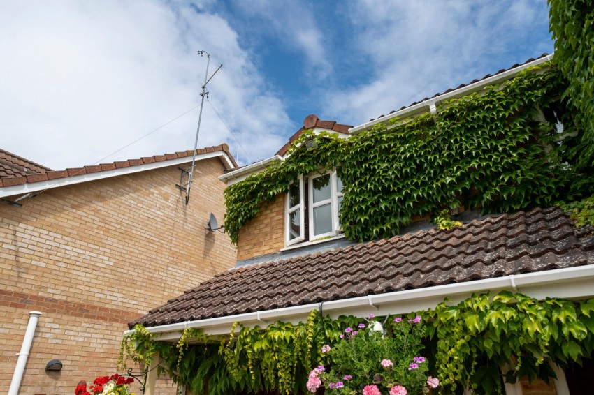 Images for Farriers Gate, Chatteris, PE16 EAID:4037033056 BID:d3db0e0c-3850-402c-b88b-52680bec4ac9