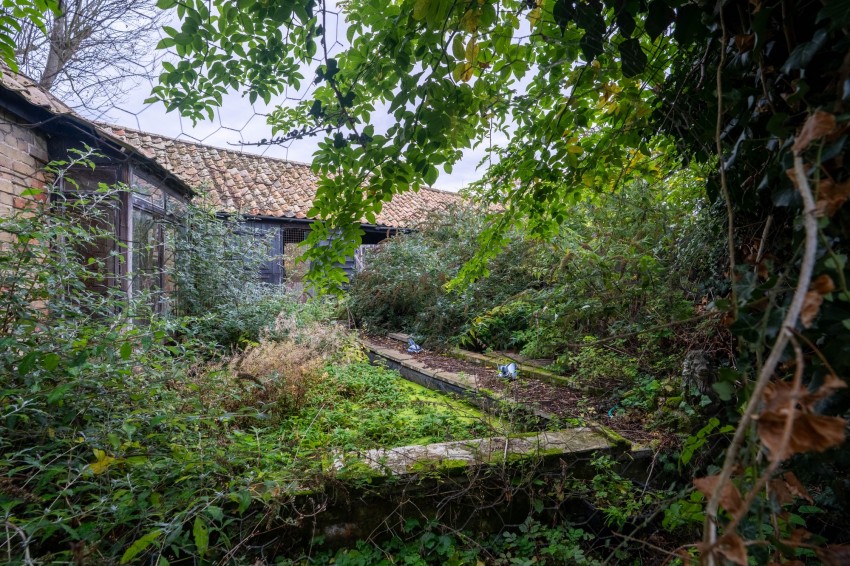 Images for The Drift, Oakington, CB24 EAID:4037033056 BID:e9c2a2d5-4edb-4404-af16-967a1de68210