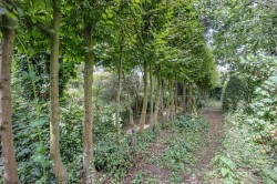 Images for Market Street, Long Sutton, PE12