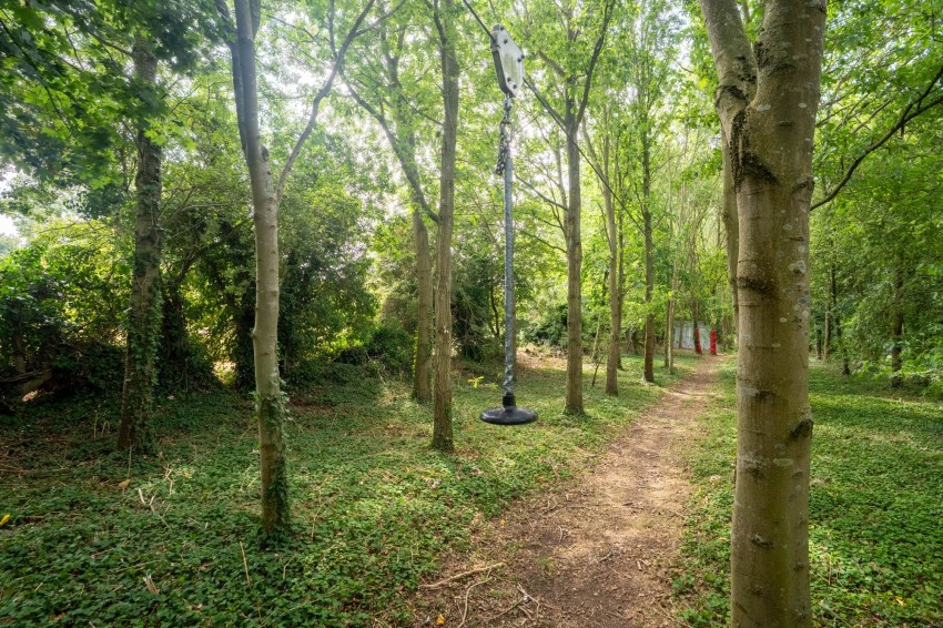 Images for Hillrow, Haddenham, CB6 EAID:4037033056 BID:e9c2a2d5-4edb-4404-af16-967a1de68210