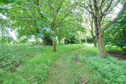 Images for 38 Church Road, Emneth, PE14