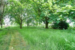 Images for 38 Church Road, Emneth, PE14