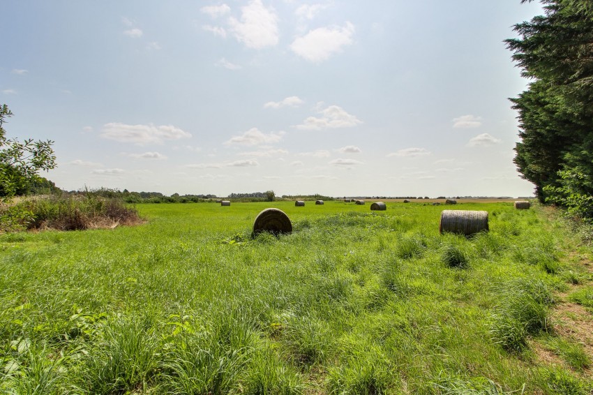 Images for 194 Small Lode, Upwell, PE14 EAID:4037033056 BID:1d497ef6-e698-4427-833a-3b42529ac059