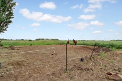 Images for North Brink, Wisbech, PE13
