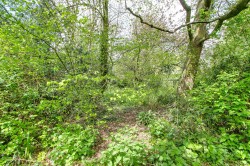 Images for Rose Lane, Elm, PE14
