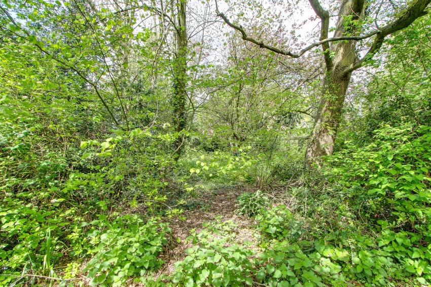 Images for Rose Lane, Elm, PE14 EAID:4037033056 BID:1d497ef6-e698-4427-833a-3b42529ac059