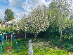 Images for Chestnut Rise, Burwell, CB25
